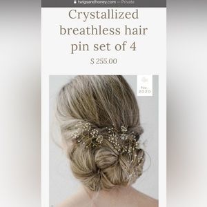 NWT Twigs and Honey clear, Opal, brass hair pins. Set of 4.